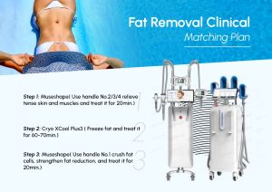 Cryo Xcool Plus3 | Dermal Cool Scuplting Therapy System 9 18 使用搭配